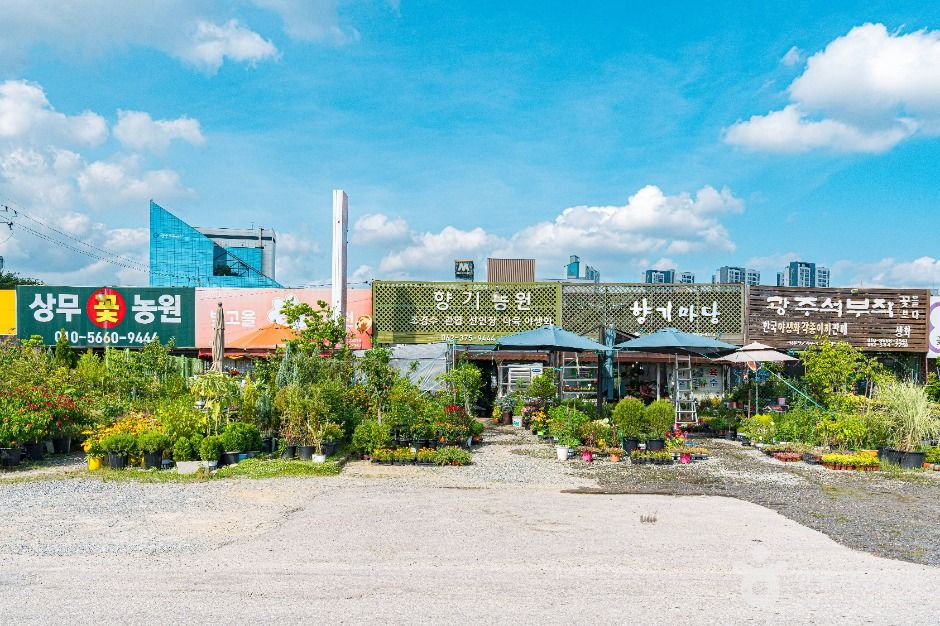 상무화훼단지