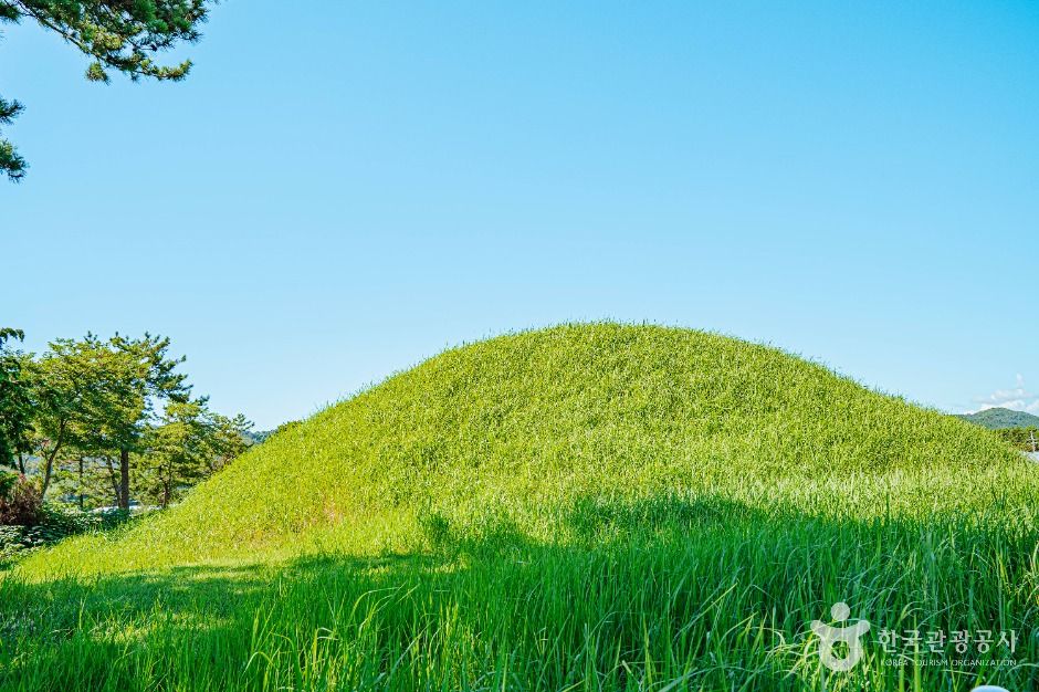 함평_함평예덕리고분군 (6)