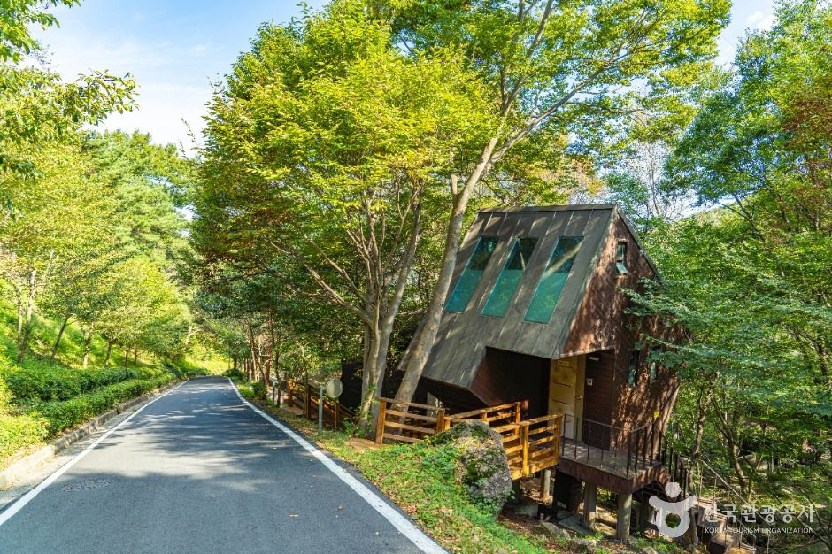 구재봉자연휴양림