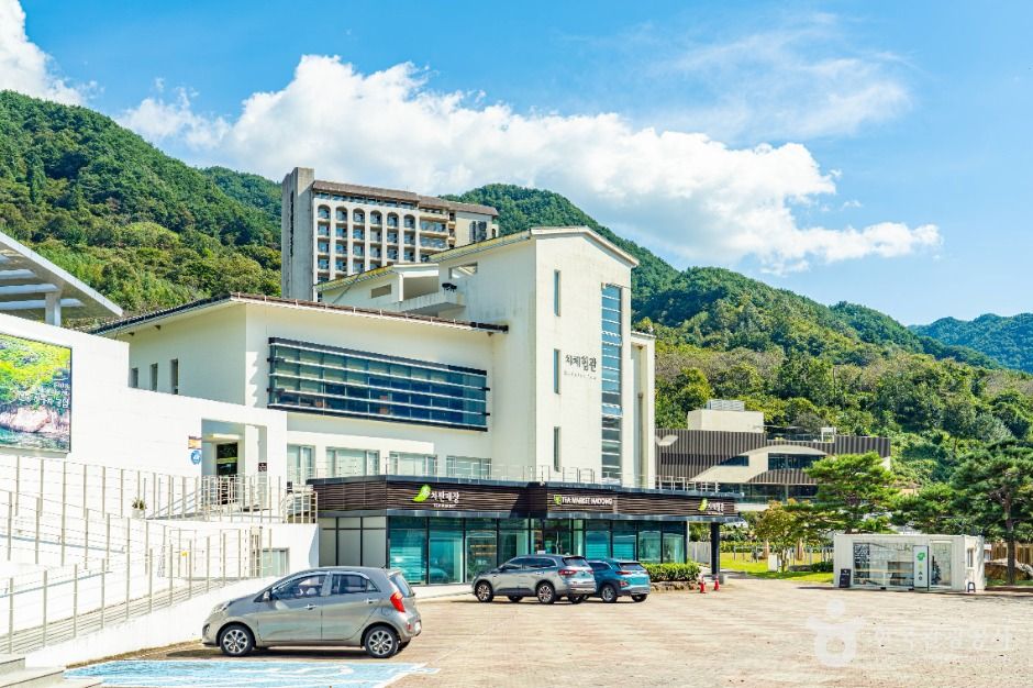 하동야생차박물관