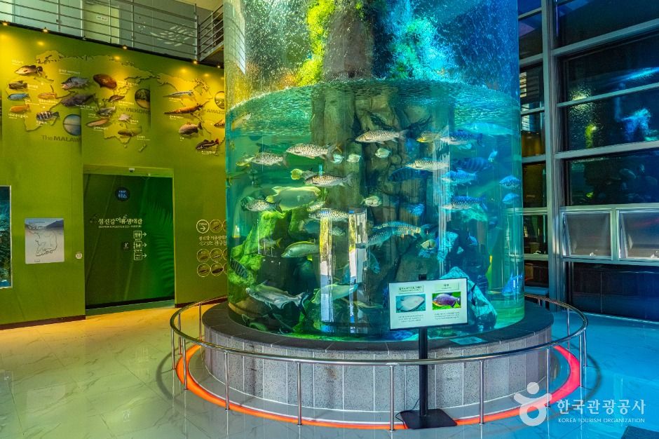 섬진강어류생태관