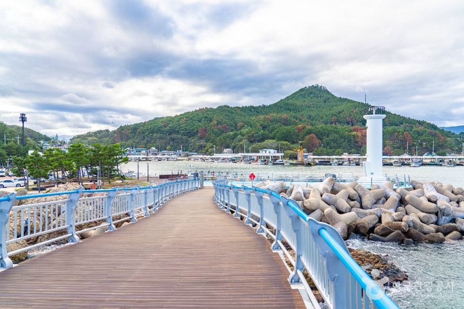 thumbnail-대진항(영덕)-5