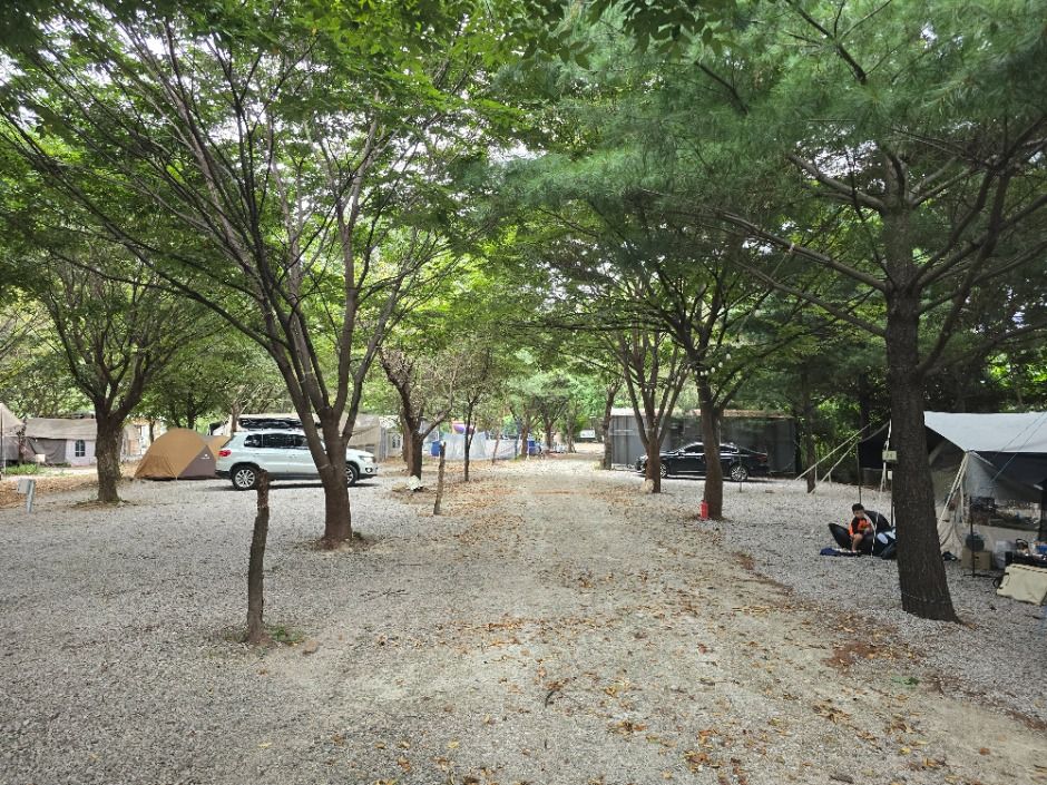 레이크문캠핑장