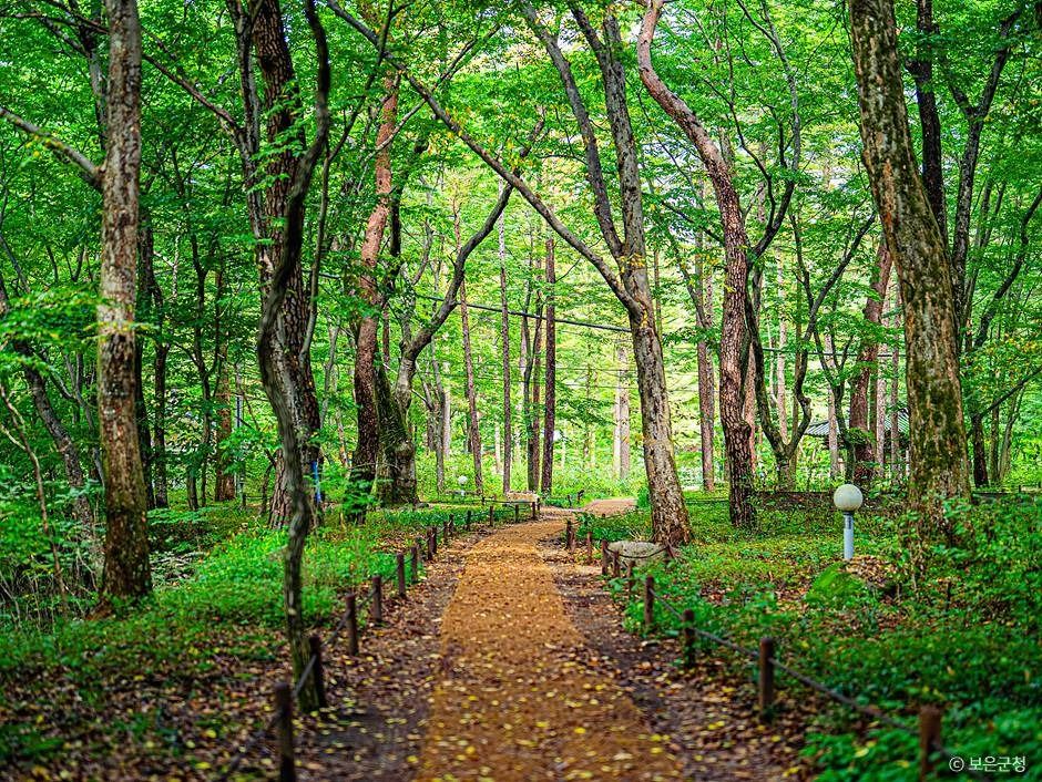 보은_세조길 (11)