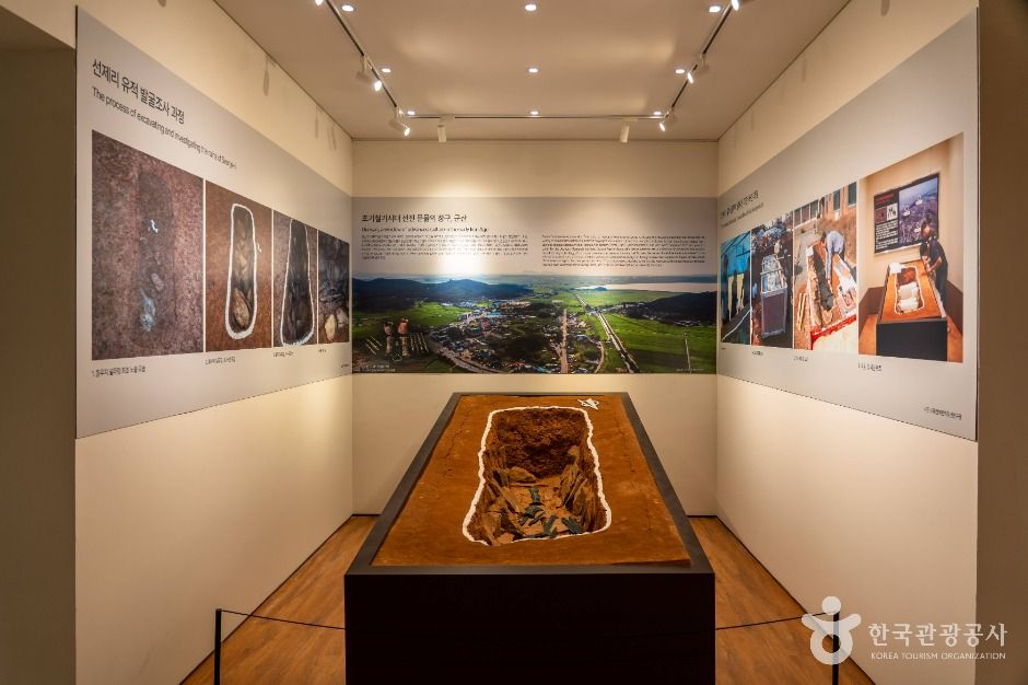 국립군산대학교 박물관