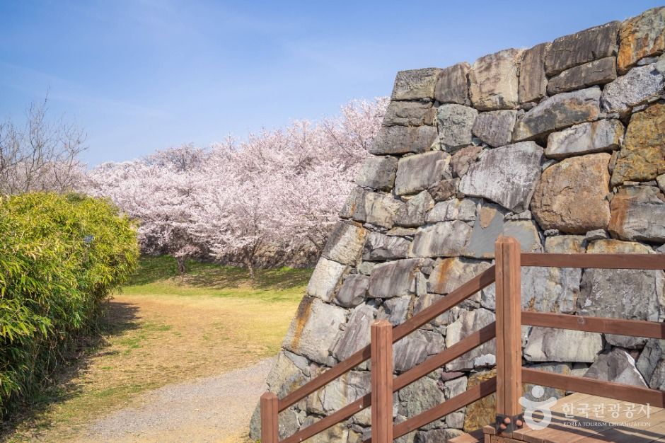 사천_사천선진리성 (4)