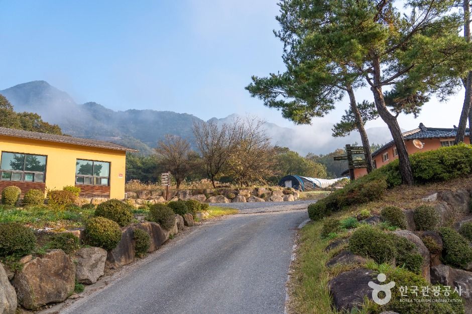 제천 산야초마을