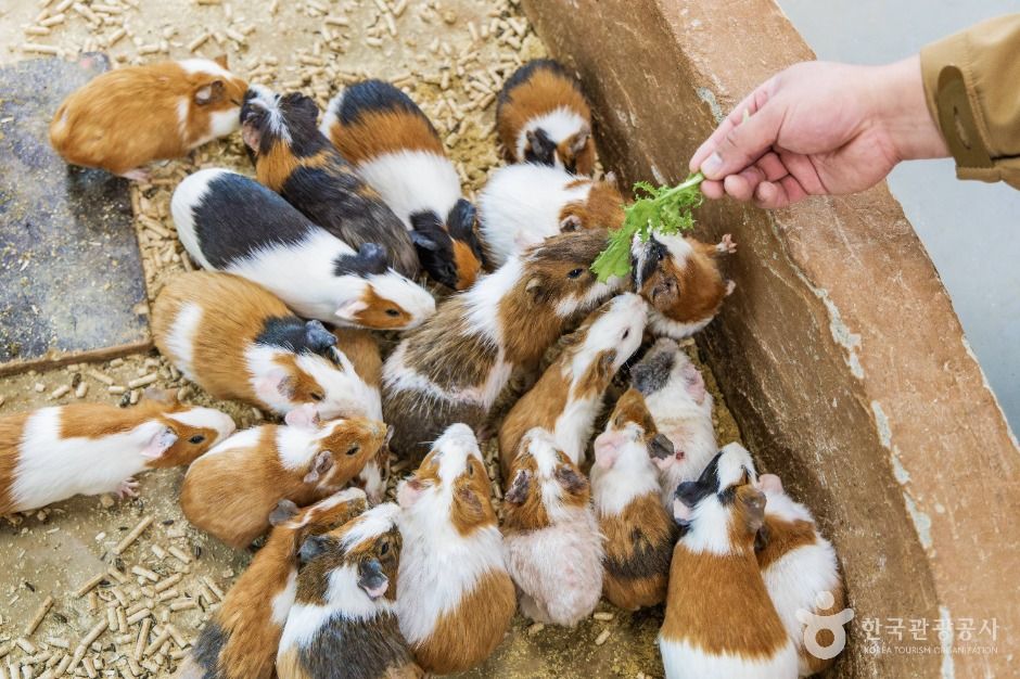 thumbnail-익산 액션하우스-4