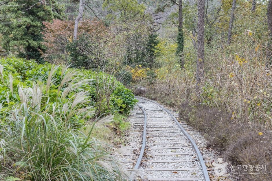 해남_포레스트 수목원 (1)