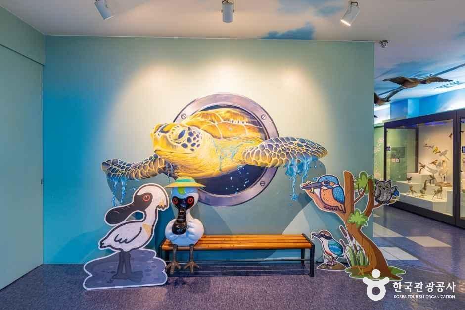 thumbnail-강화자연사박물관-5