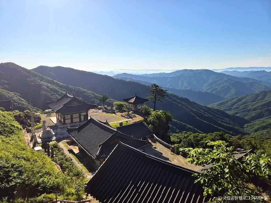 thumbnail-치악산국립공원-3