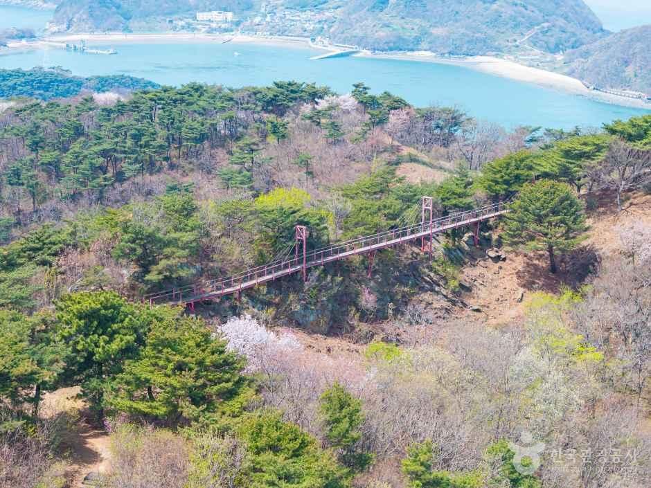 thumbnail-부아산 구름다리-1