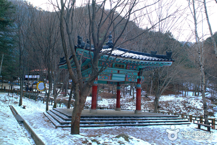 Gugok Falls (구곡폭포)