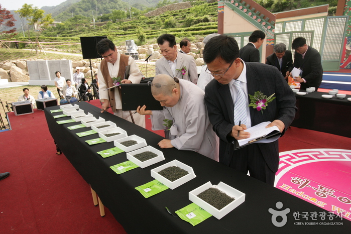 Hadong Wild Tea Cultural Festival (하동 야생차문화축제)