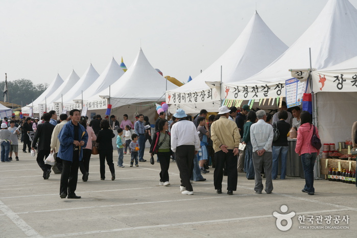Ganggyeong Fermented Seafood Festival (강경 발효젓갈축제)