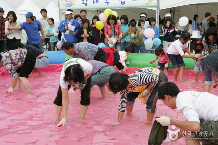 Ganggyeong Fermented Seafood Festival (강경 발효젓갈축제)