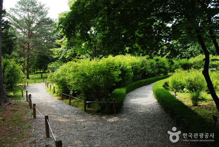 Korea National Arboretum and Forest Museum (국립수목원-구, 광릉수목원)