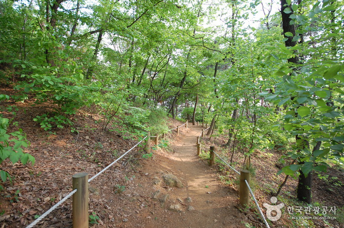 阿且山城（아차산성）