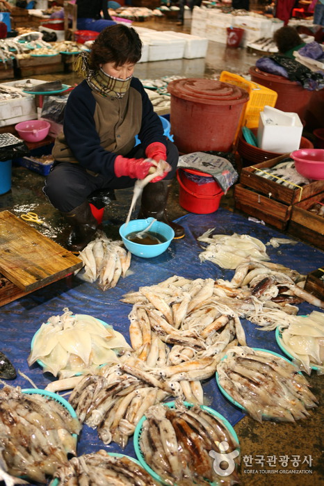 Jukdo Market (포항 죽도시장)
