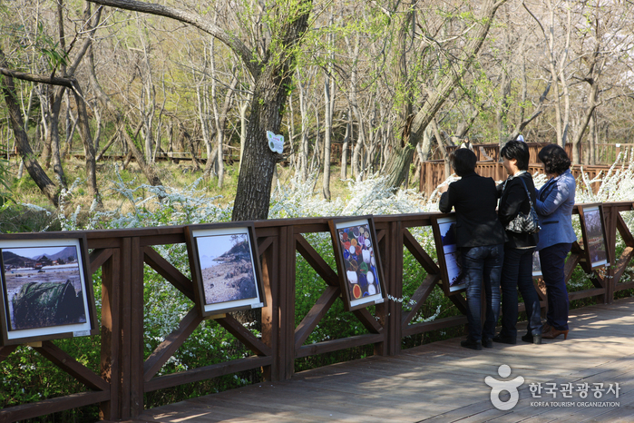 thumbnail-Jinhae NFRDI Environment Eco-Park (진해내수면 환경생태공원)-14