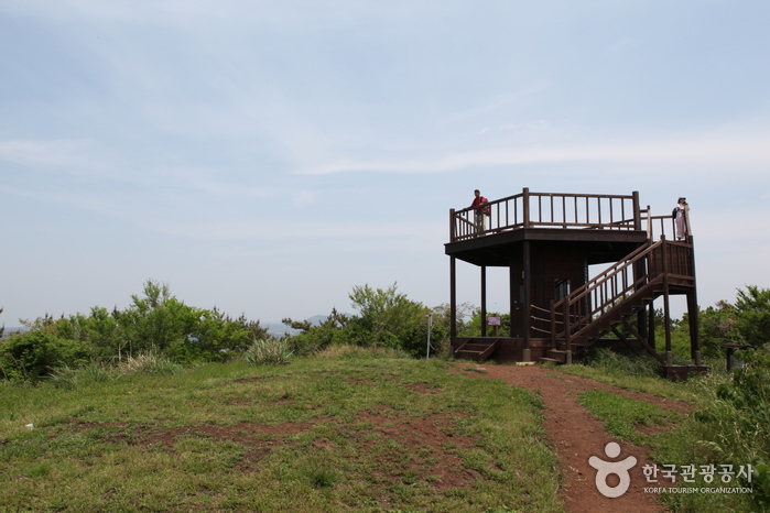 [제주올레 13코스] 용수-저지 올레1