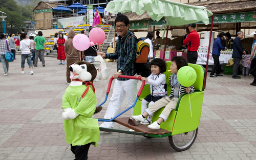 Hadong Wild Tea Cultural Festival (하동 야생차문화축제)