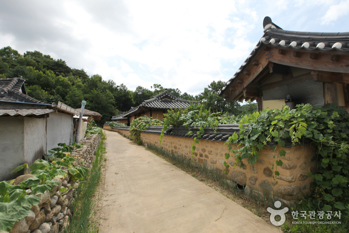Yeongju Museom Village (영주 무섬마을)