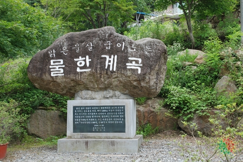 Mulhan Valley (물한계곡)