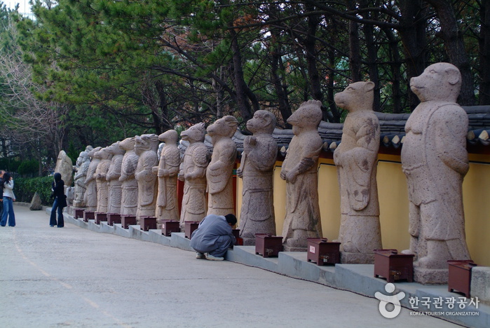 해동 이미지