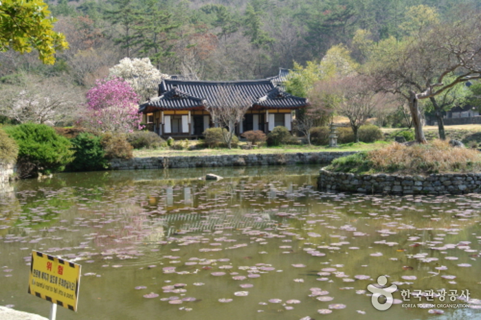 진도 운림산방 사진18