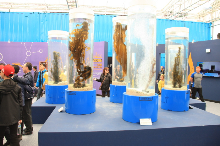 莞島國際海藻類博覽會(완도국제해조류박람회)