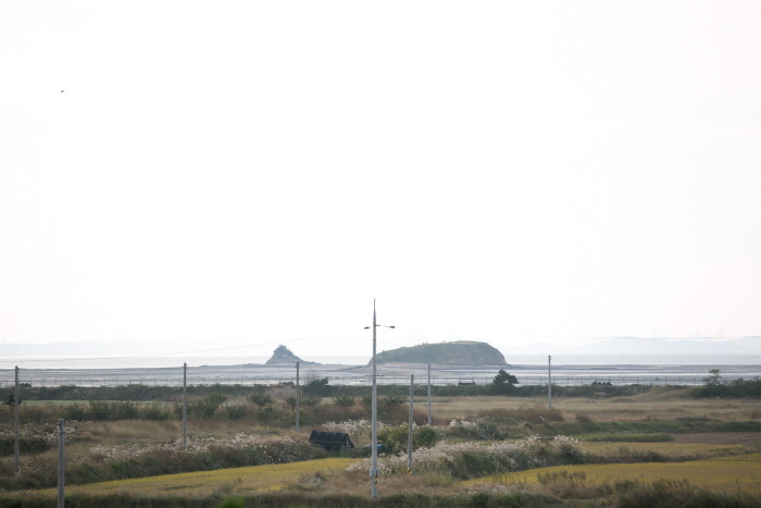 평화가 허락해준 소풍 in 매향리 20189