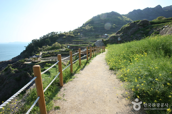 Daraengi-Dorf Gacheon (가천 다랭이마을)