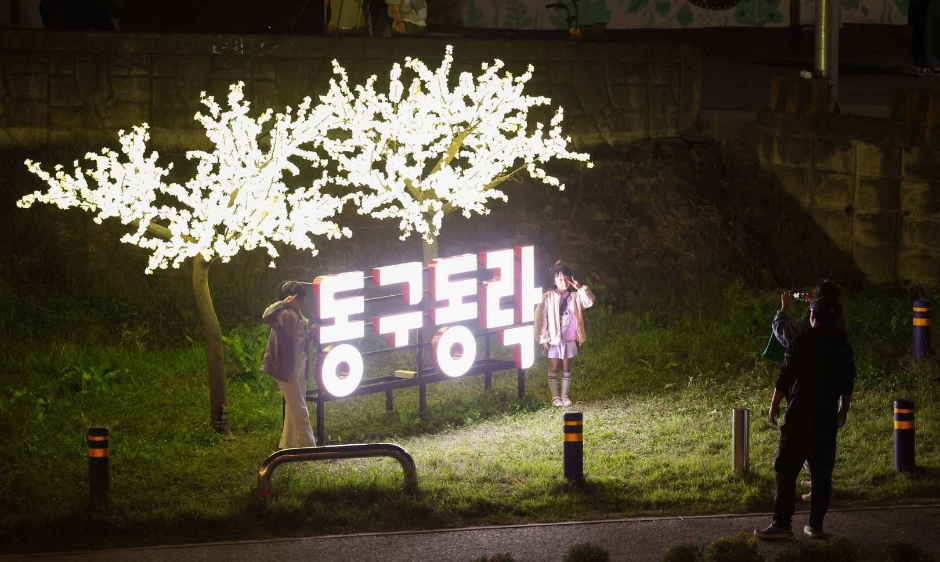대전 동구동락 축제