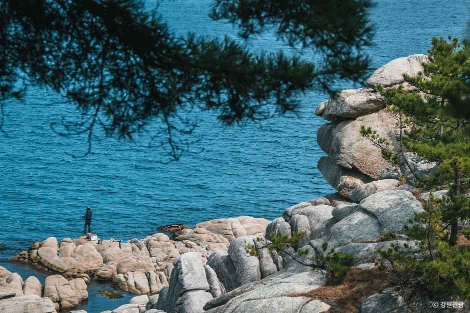 송지호 해안 서낭바위 (강원평화지역 국가지질공원)
