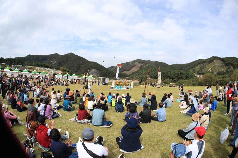 정읍 구절초 꽃축제