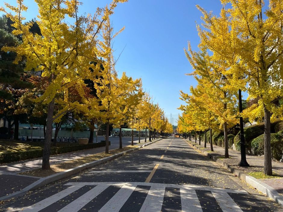 한양대학교 erica 캠퍼스