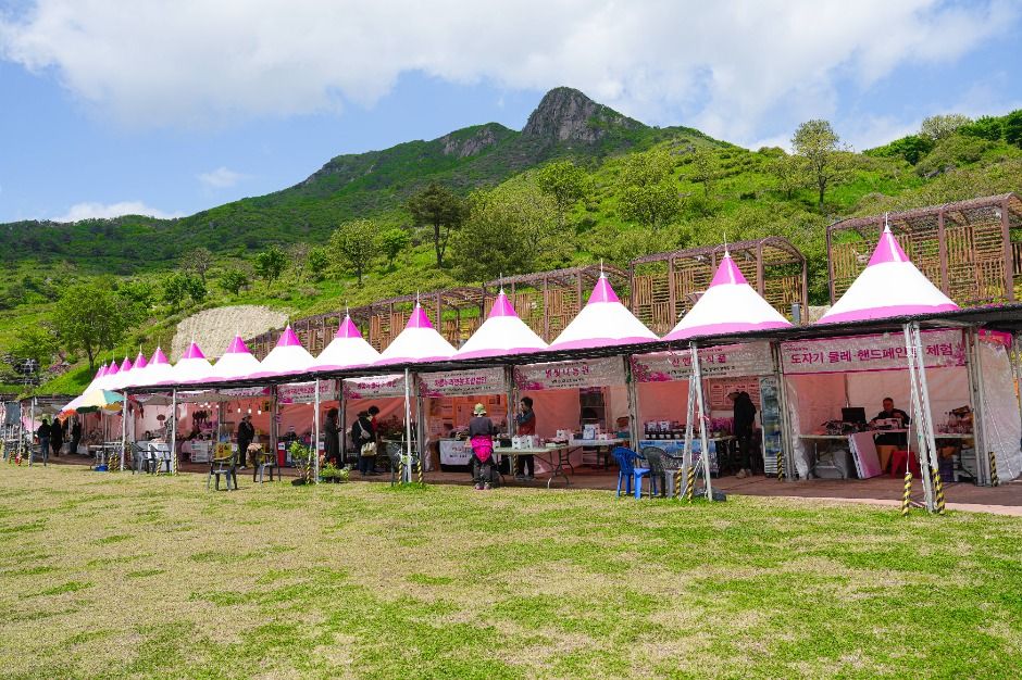 산청황매산철쭉제