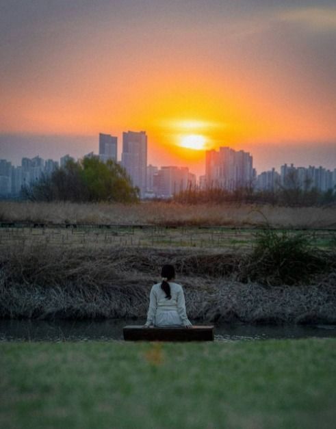 Parc écologique des vasières de Siheung (시흥 갯골생태공원)