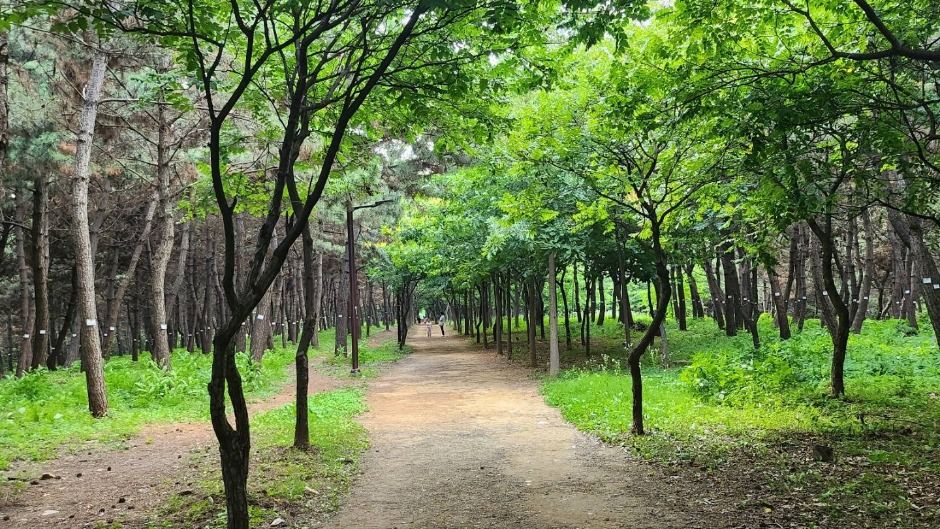 [시흥 늠내길 5코스] 정왕둘레길
