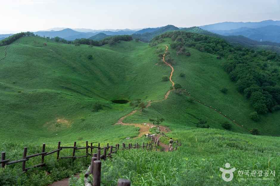 민둥산