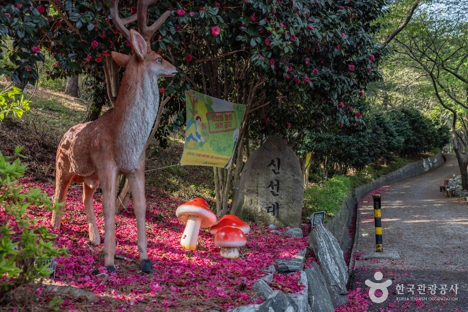 신선대(부산)