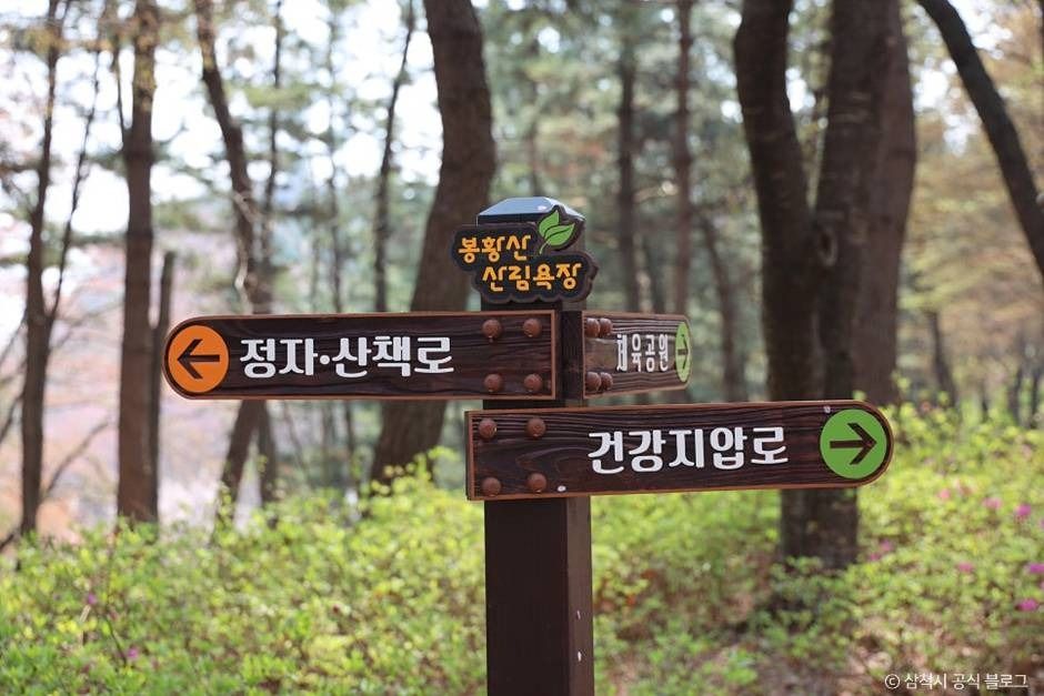 삼척_봉황산산림욕장 (2)