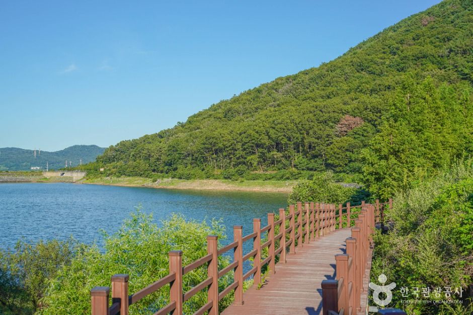 김해_진례저수지(진례 평지못 저수지) (3)