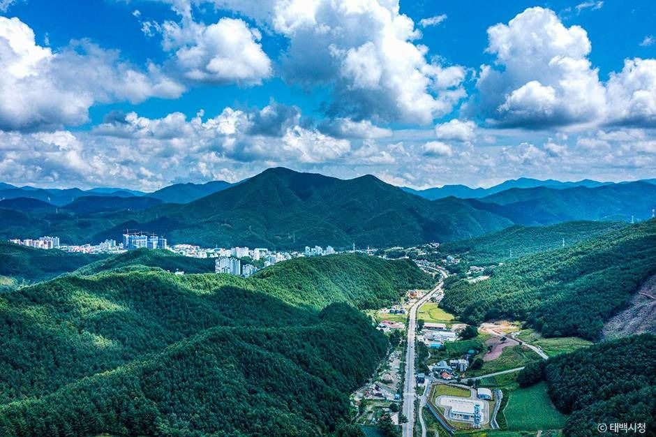 태백_연화산둘레길 (4)