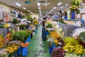 서울_고속터미널 꽃도매상가 (2)