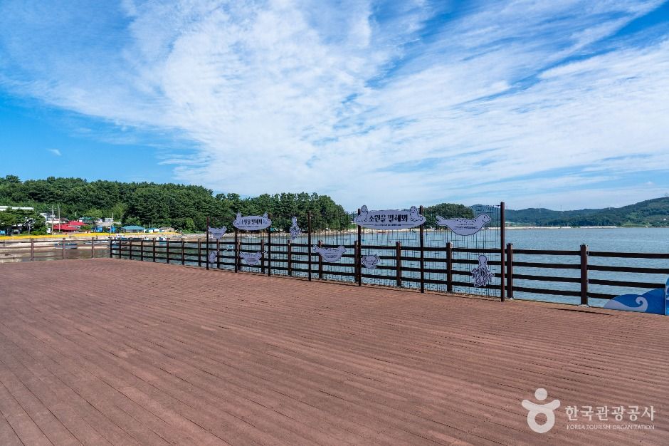 왕산포구