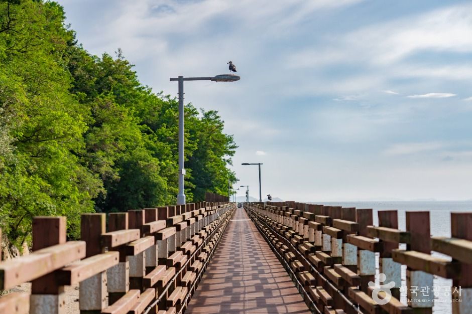 thumbnail-제부도 해안산책로(제비꼬리길)-6