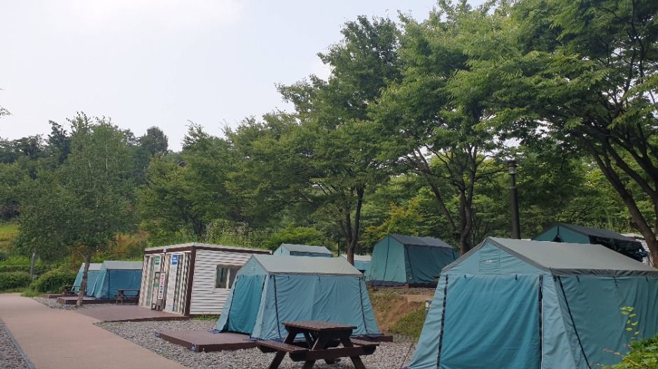 서울_강동그린웨이 가족캠핑장 (1)