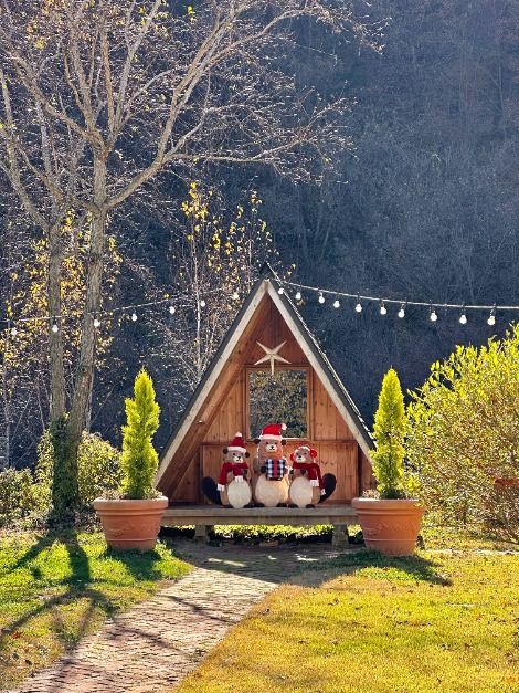 thumbnail-리베볼-20